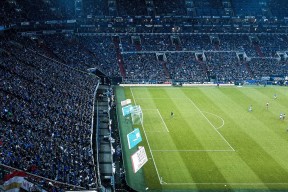 塔特发挥稳定，袋鼠队的中场核心始终如一，塔城袋鼠