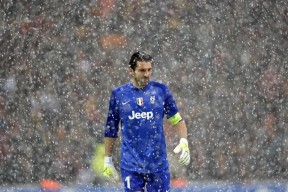 波尔曼的攻防一体打法，使袋鼠队全面提升，波尔曼斯