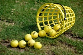 法甲俱乐部的绿色行动方案，法甲绿军